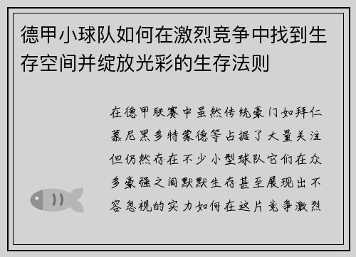 德甲小球队如何在激烈竞争中找到生存空间并绽放光彩的生存法则