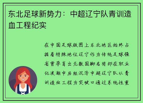 东北足球新势力：中超辽宁队青训造血工程纪实
